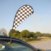 Checkered Paddle Flags